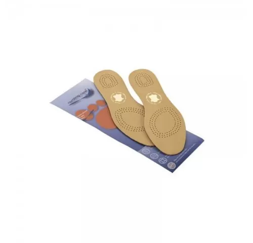 15-Branturi--talpi--anatomice---P1415