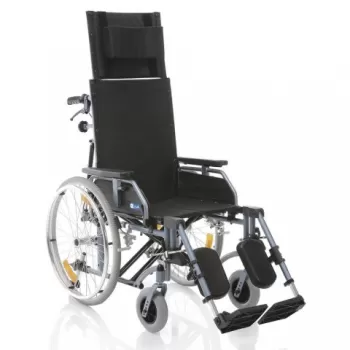 Carucior cu rotile pliabil cu structura din aluminiu vopsit - CP810-1