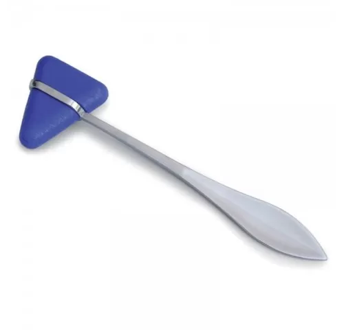 11-Ciocan-neurologic-Taylor---DMV124